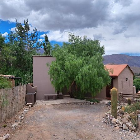 Casa En Tilcara Con Hermosa Vista Al Pucara Екстериор снимка