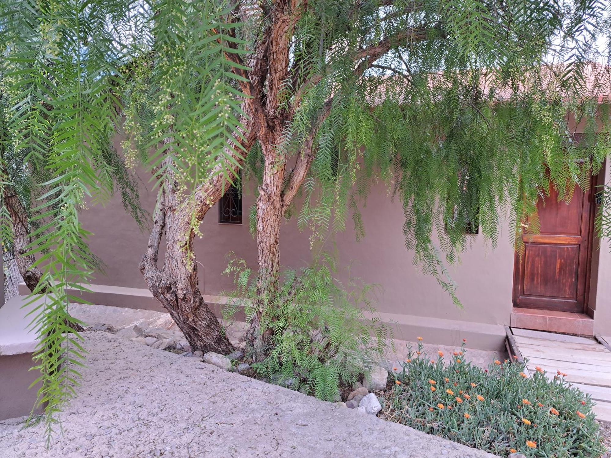 Casa En Tilcara Con Hermosa Vista Al Pucara Екстериор снимка